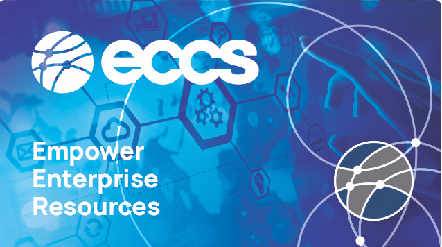 ECCS Leading IT Consultancy